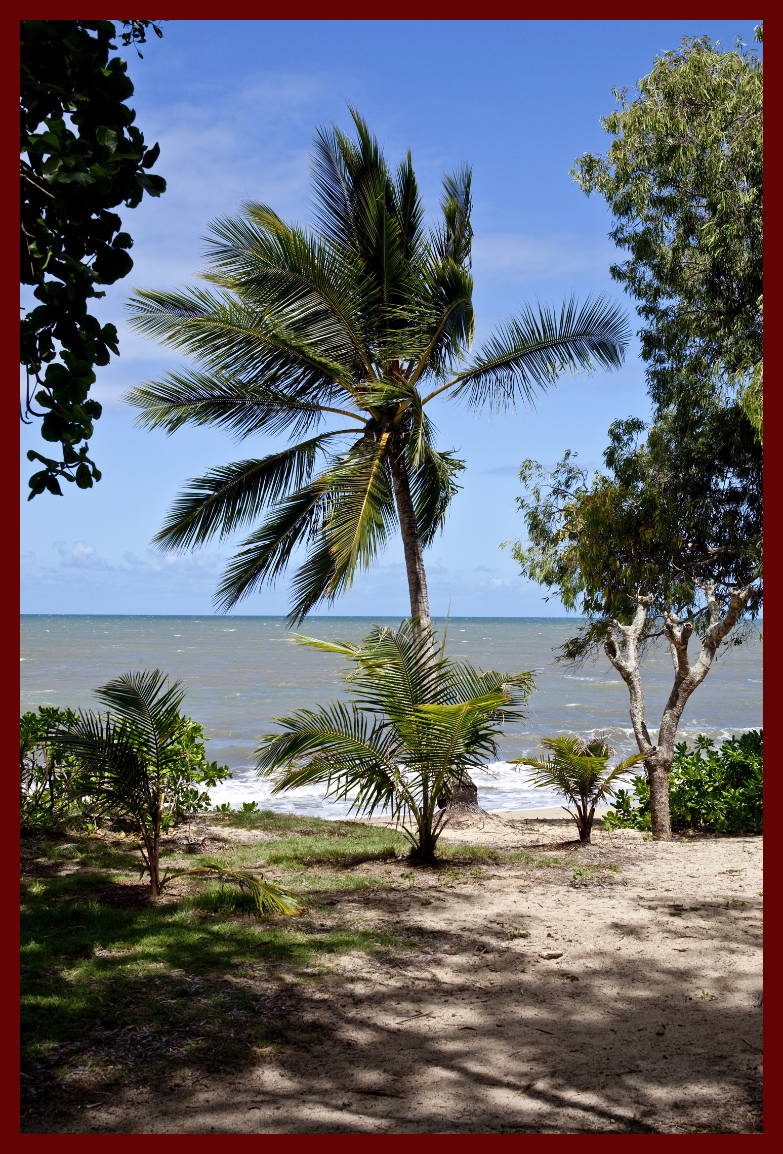 Gyms in Darwin 2026, Best Fitness Centres Near You