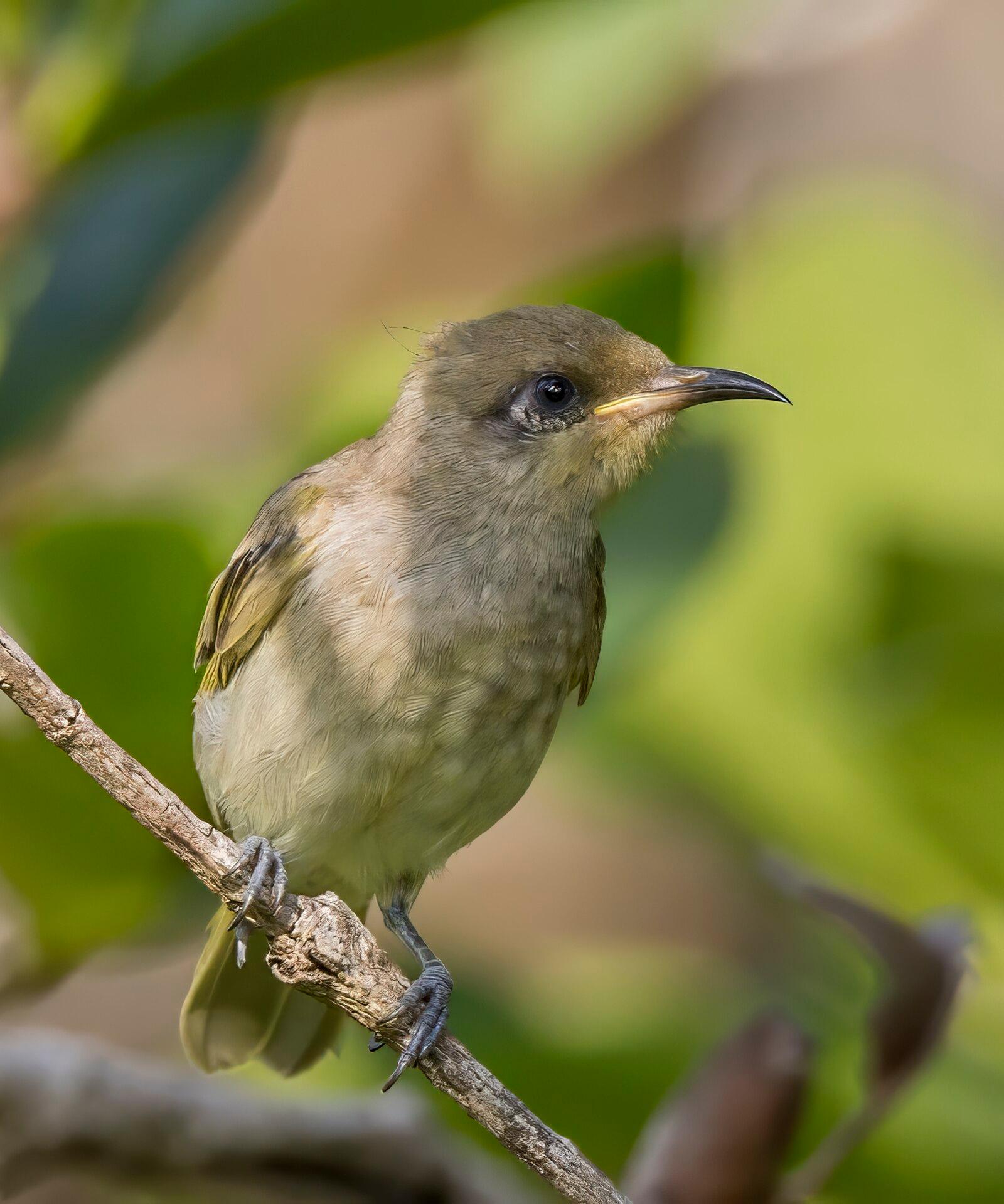 Darwin's Natural Environment Boosts Women's Health and Family Wellness