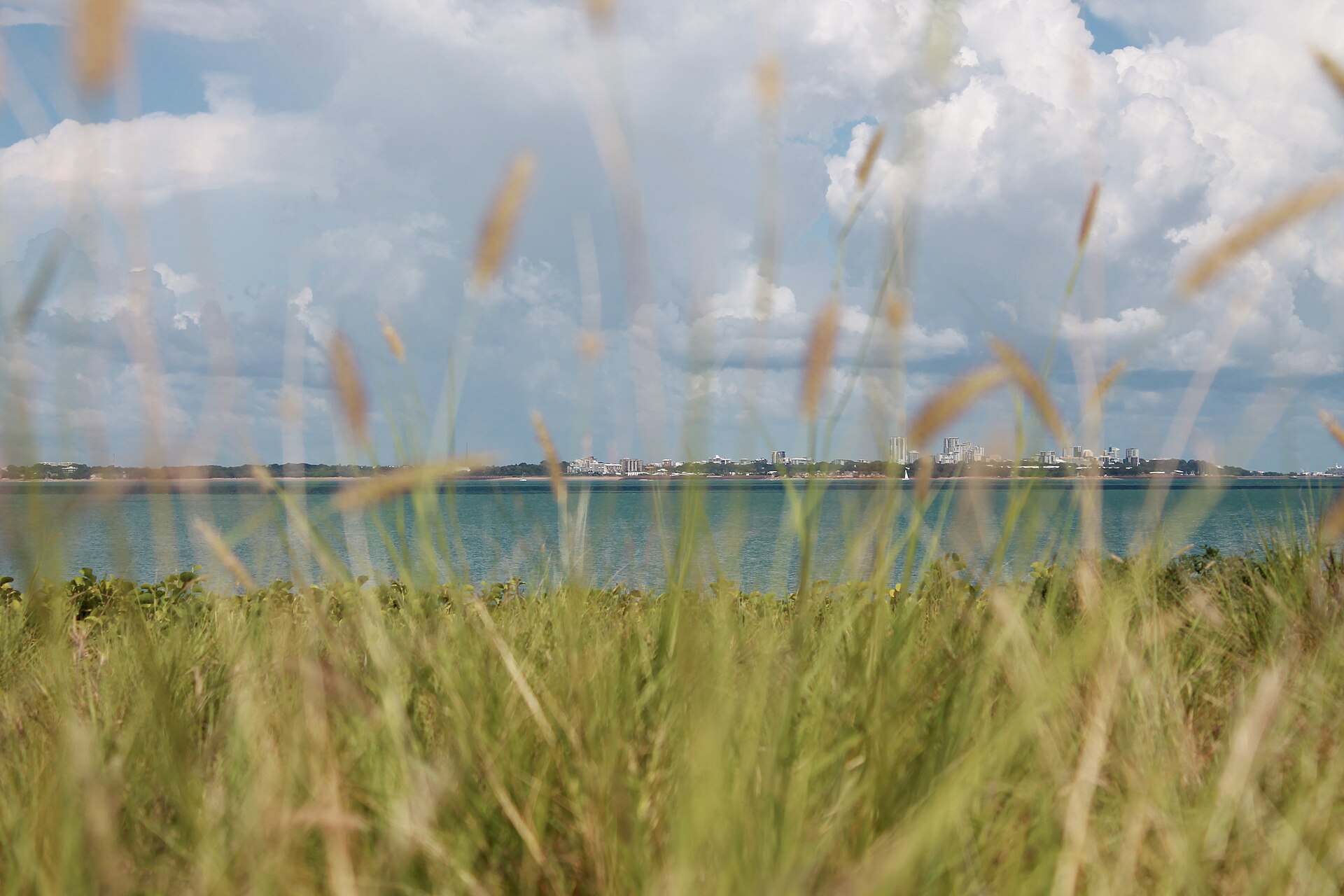 Markets and makers in Darwin