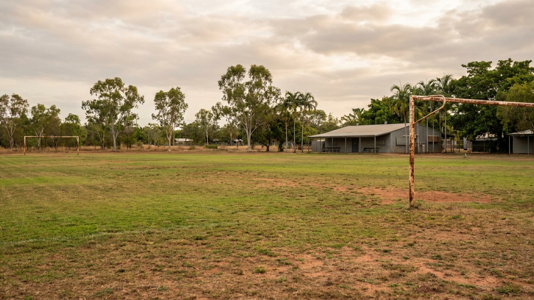 What Participation Trends Reveal About Darwin's Fitness Culture