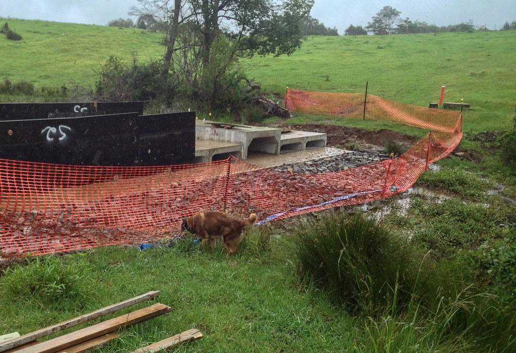 Voices from Darwin Residents Amid Neighbourhood Changes