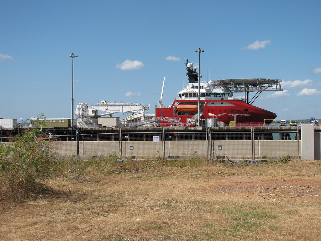 Startup Focus Shifts as Market Trends Signal Challenges and Opportunities for Darwin Businesses