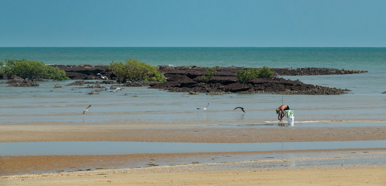 Events in Darwin This Weekend - What's On Guide