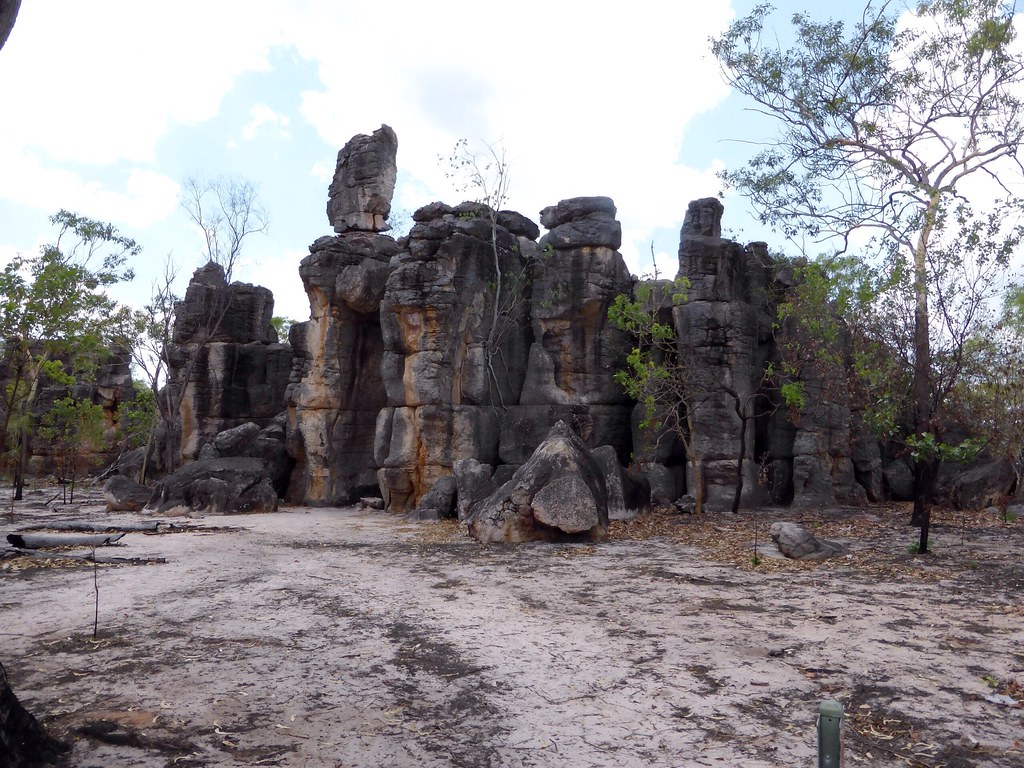 Local Entrepreneur Champions Workforce Development in Darwin’s Business Community
