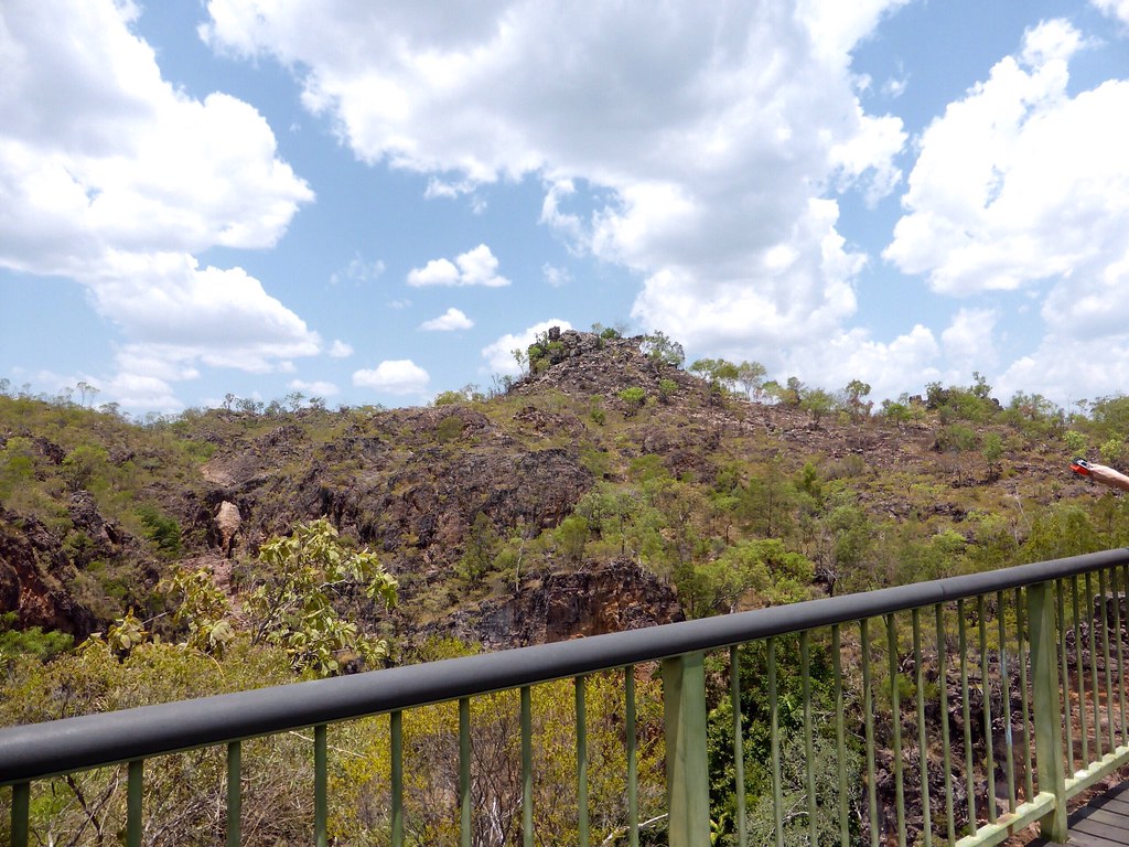 Understanding Market Conditions: What Darwin Residents Should Know Today