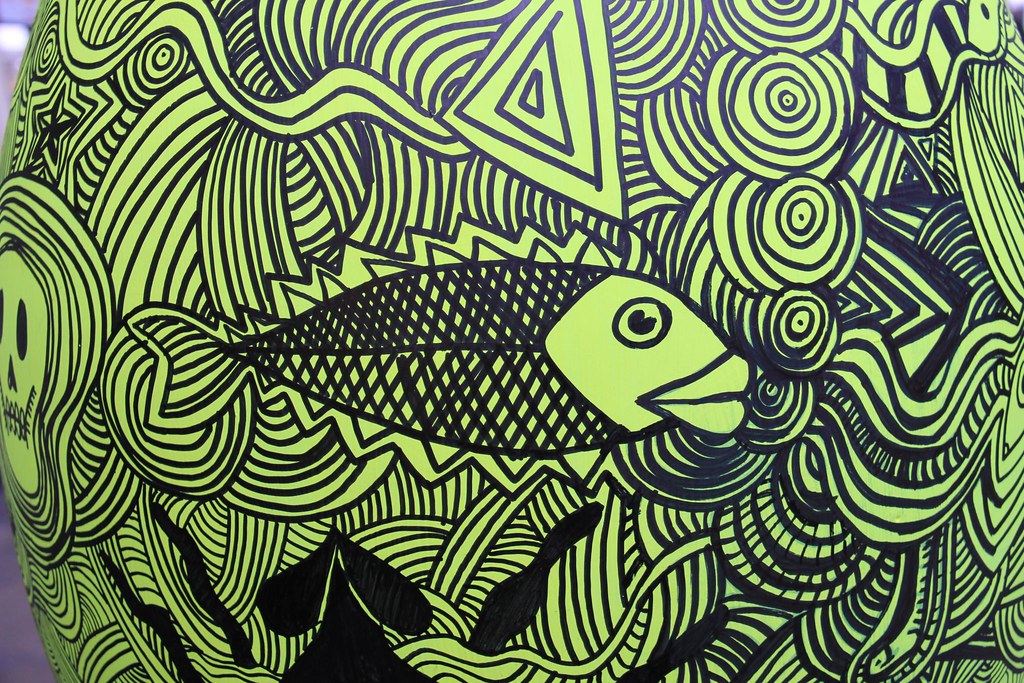 Exploring Darwin: Local Tours and Experiences