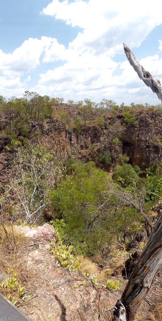 Darwin’s Startup Scene Opens Doors for Innovators and Entrepreneurs
